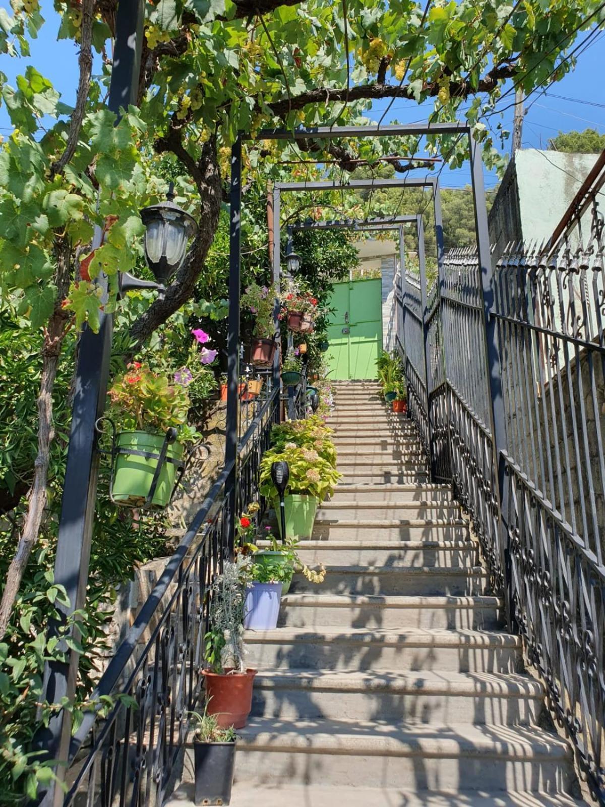 Sara Guesthouse Berat Dış mekan fotoğraf