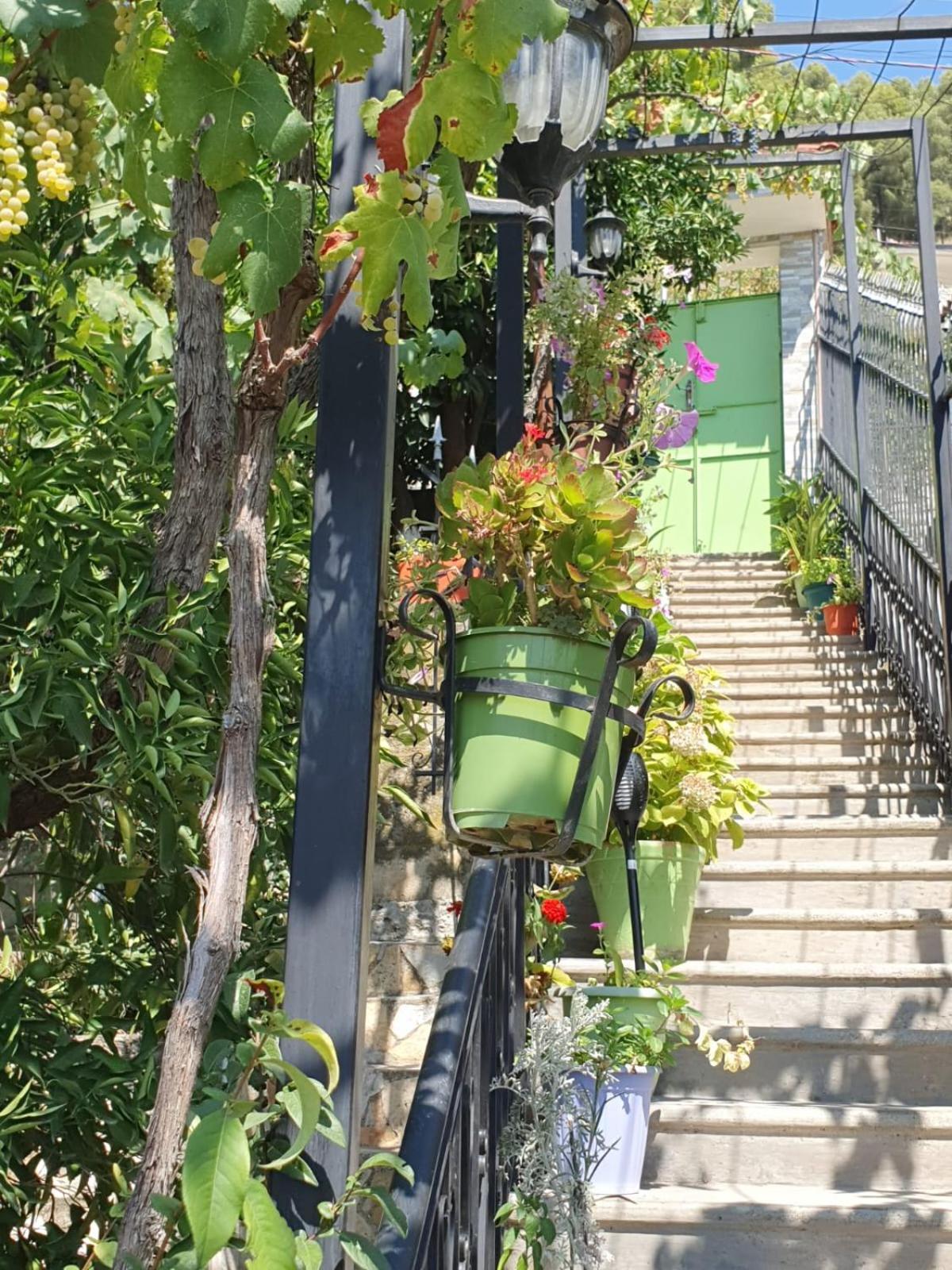 Sara Guesthouse Berat Dış mekan fotoğraf