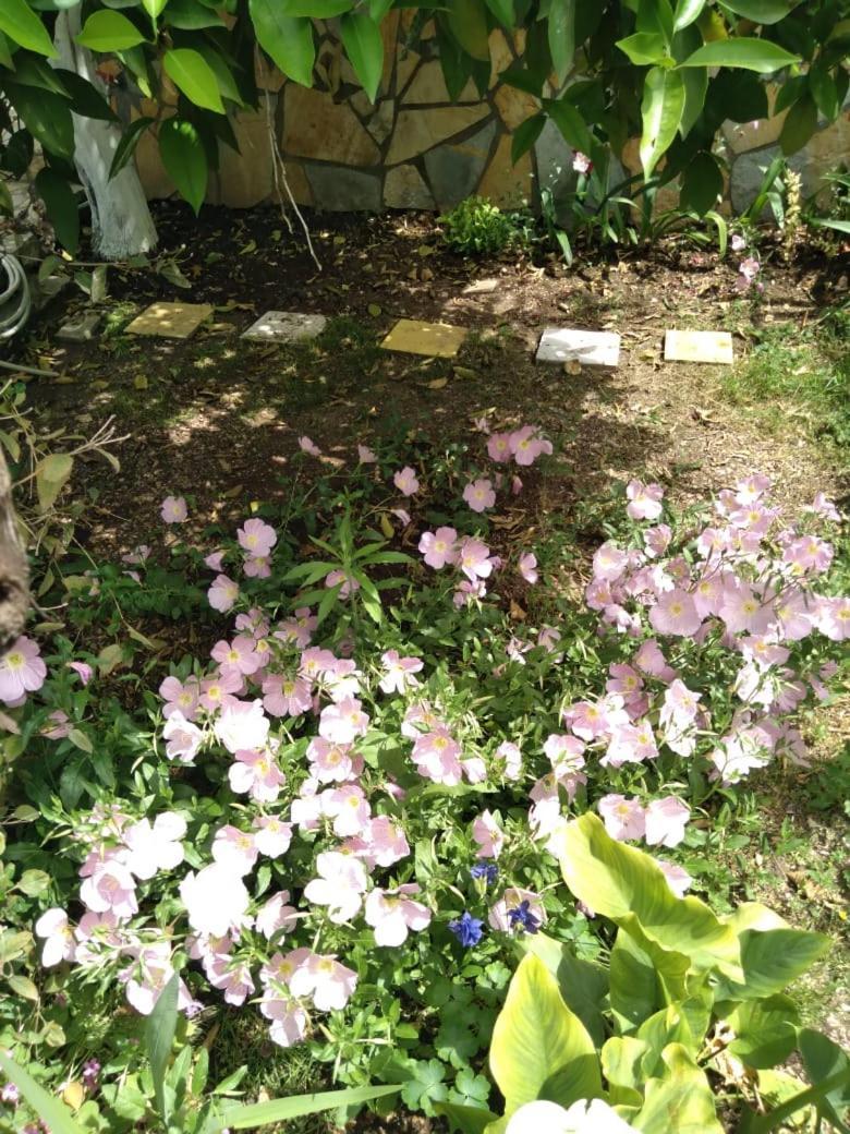 Sara Guesthouse Berat Dış mekan fotoğraf