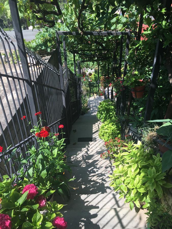 Sara Guesthouse Berat Dış mekan fotoğraf
